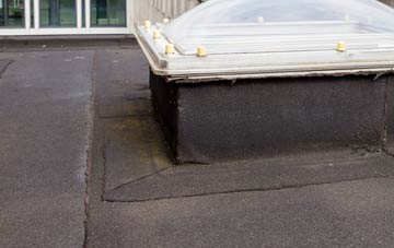 disadvantages of Ashopton flat roofs